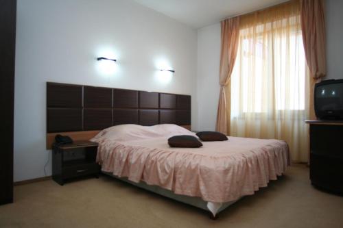 Imagen general del Hotel Belvedere, Vatra Dornei. Foto 3