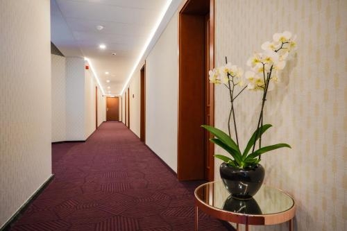 Imagen general del Hotel Belweder. Foto 1