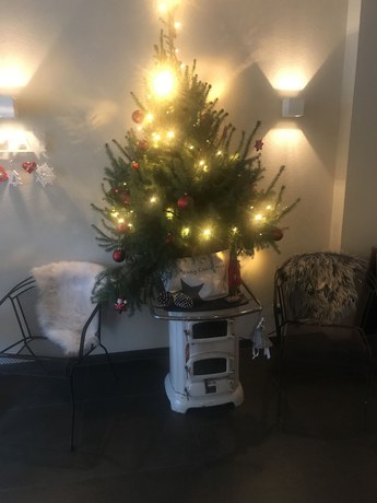 Imagen de los interiores del Hotel Bemelmans. Foto 17