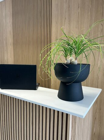 Imagen general del Hotel Bemyguest Comfort Zefyros. Foto 4