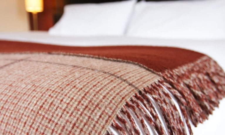 Imagen de la habitación del Hotel Ben Wyvis. Foto 16