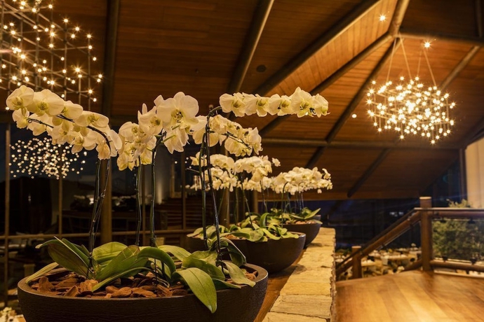 Imagen de los interiores del Hotel Bendito Cacao Resort and Spa. Foto 18