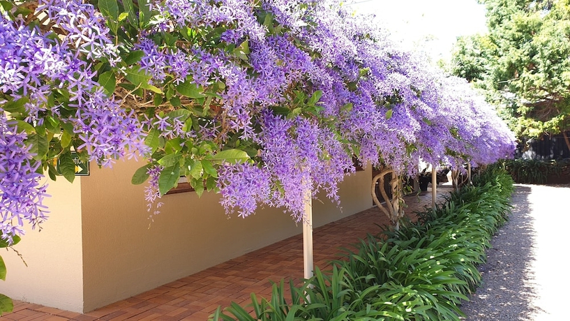 Imagen de los interiores del Hotel Bendles Cottages and Country Villas. Foto 19