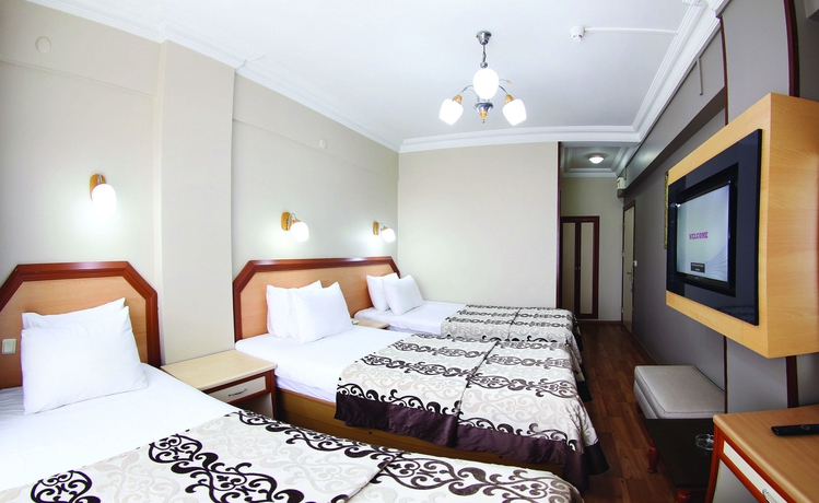 Imagen de la habitación del Hotel Benler. Foto 7