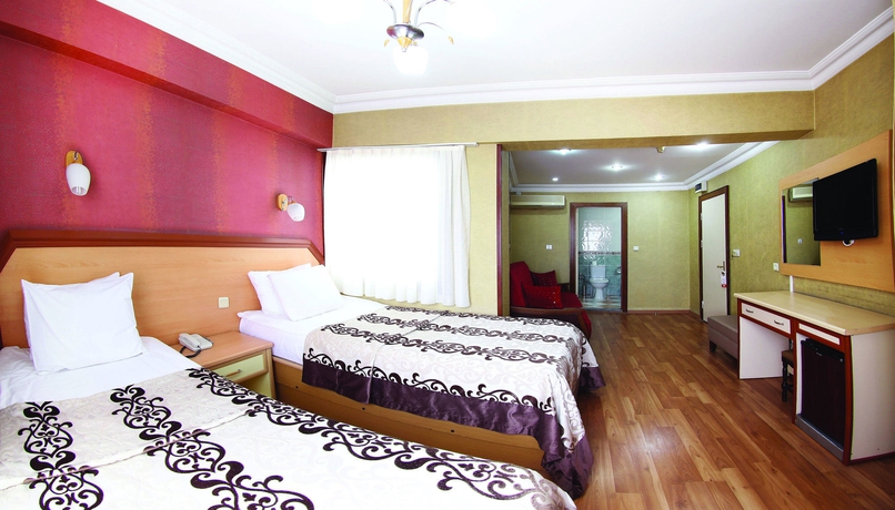 Imagen de la habitación del Hotel Benler. Foto 8