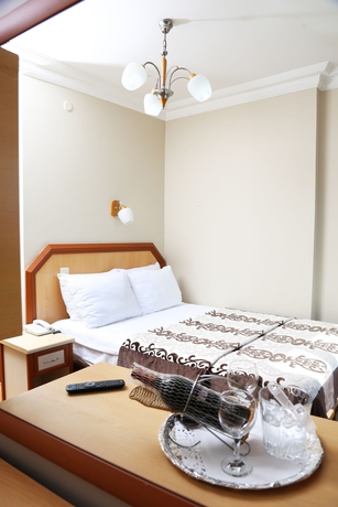 Imagen de la habitación del Hotel Benler. Foto 9