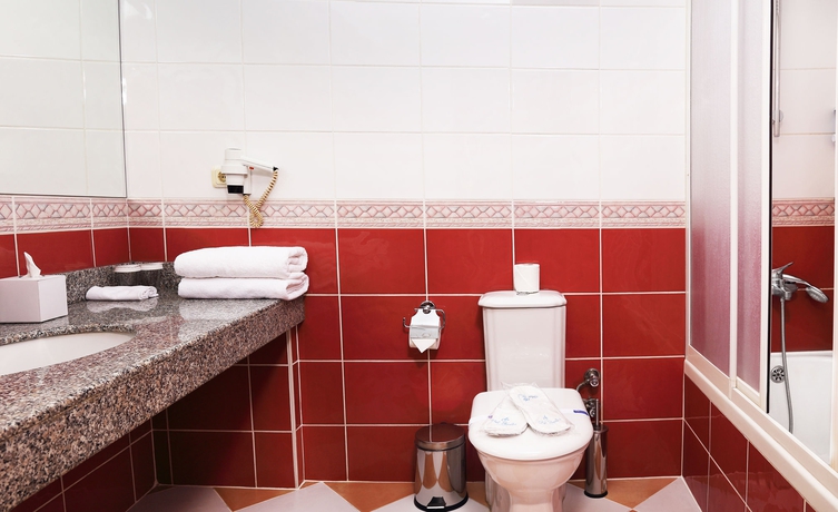 Imagen de la habitación del Hotel Benler. Foto 12