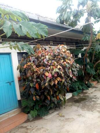 Imagen general del Hotel Benliza Guest House - Adults Only. Foto 5