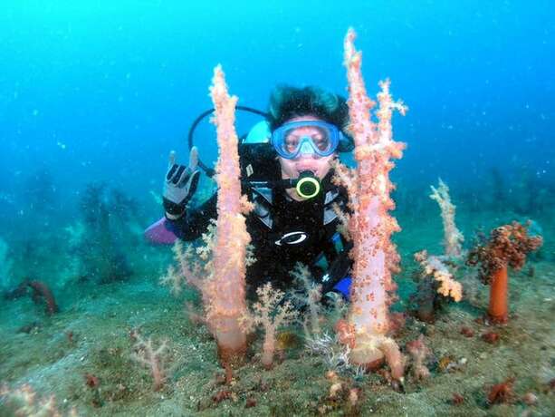 Imagen general del Hotel Bentrina Diving Resort. Foto 6