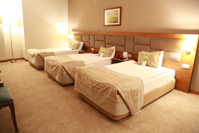 Imagen de la habitación del Hotel Bera Konya. Foto 12