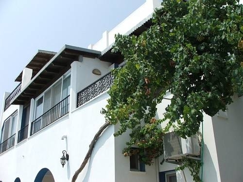 Imagen general del Hotel Berg, Bodrum. Foto 8