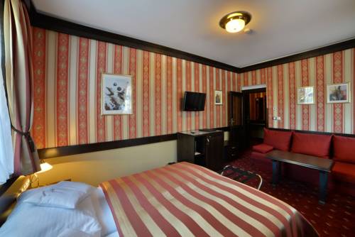 Imagen de la habitación del Hotel Berg, Star&eacute; Splavy . Foto 9