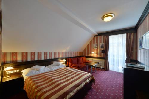 Imagen de la habitación del Hotel Berg, Star&eacute; Splavy . Foto 12