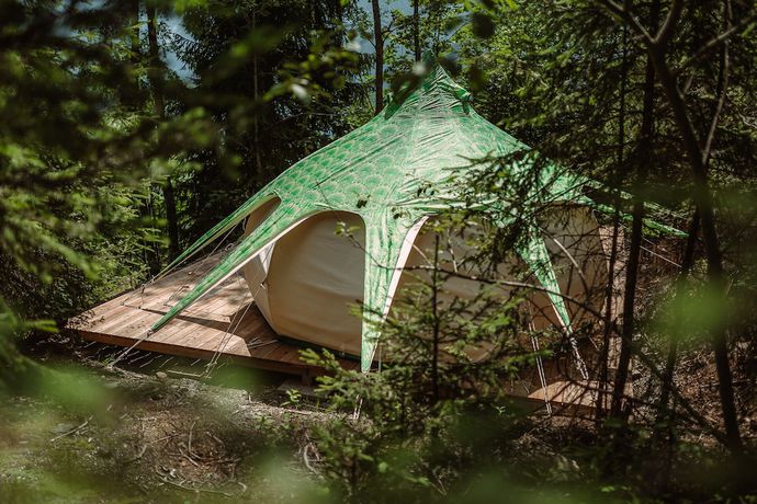 Imagen de la habitación del Hotel BergBaur. Foto 11