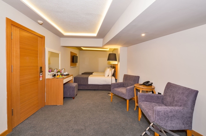 Imagen de la habitación del Hotel Bergama. Foto 10