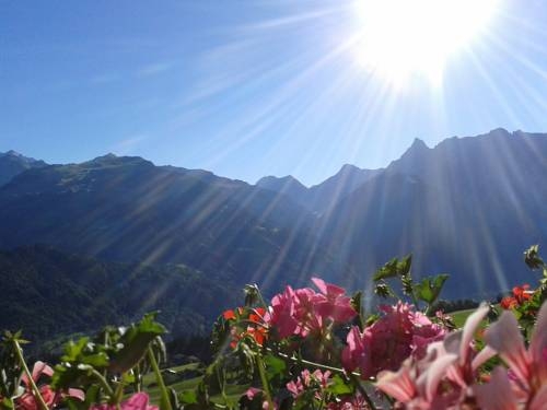 Imagen de la habitación del Hotel Berger Hof. Foto 4