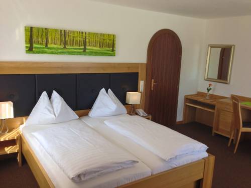 Imagen de la habitación del Hotel Berghof Dachsteinblick. Foto 11