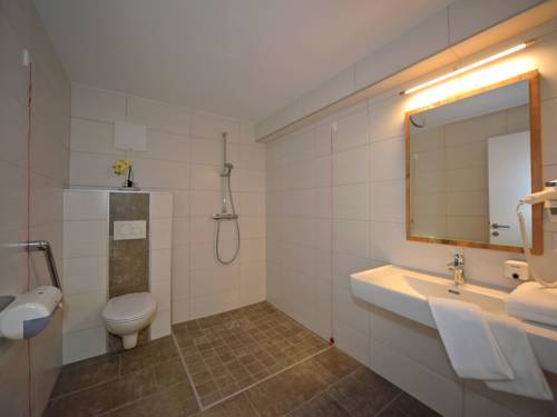 Imagen de la habitación del Hotel Berghof. Foto 10