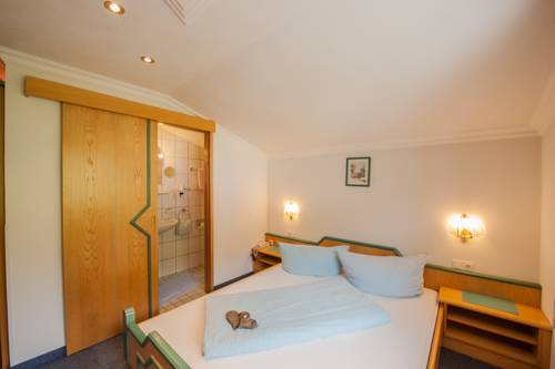 Imagen de la habitación del Hotel Berghotel Almrausch. Foto 9