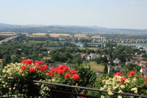 Imagen de la habitación del Hotel Berghotel Rheinblick. Foto 7