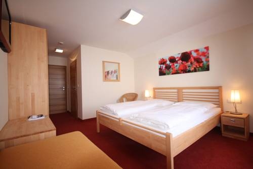 Imagen general del Hotel Berghotel Schmittenh&ouml;he. Foto 6