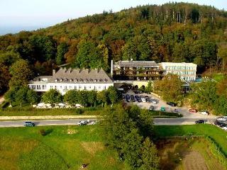 Imagen general del Hotel Berghotel Tulbingerkogel. Foto 1