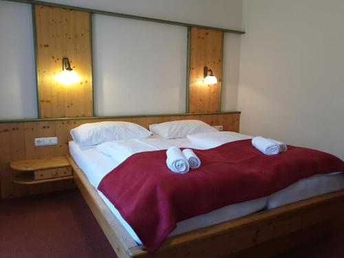 Imagen general del Hotel Berghotel T&uuml;rlwand. Foto 6