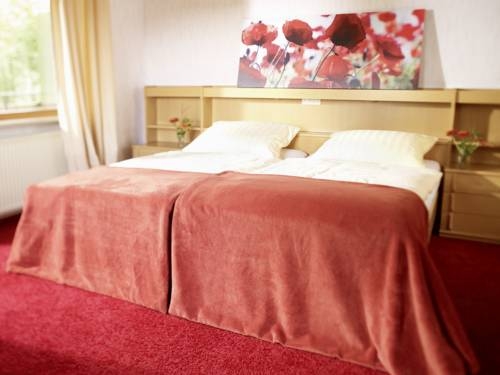Imagen general del Hotel Berghotel Wintersberg. Foto 6