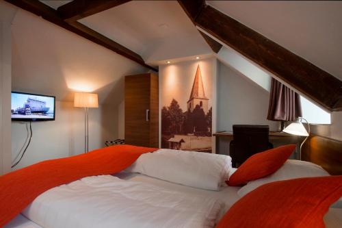 Imagen general del Hotel Bergrust. Foto 3
