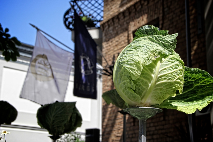 Imagen de los exteriores del Hotel Bergs Suites. Foto 8