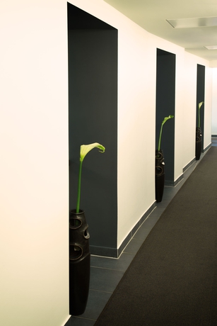 Imagen de los interiores del Hotel Bergs Suites. Foto 11