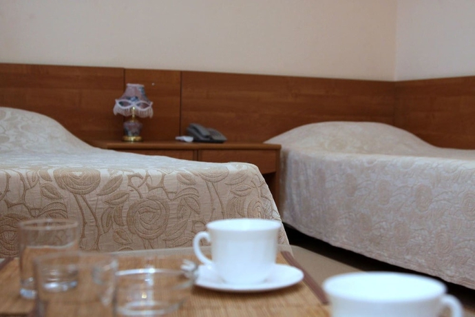 Imagen de la habitación del Hotel Berison Hudyakova. Foto 13