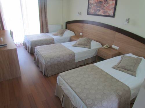 Imagen de la habitación del Hotel Berksoy. Foto 2