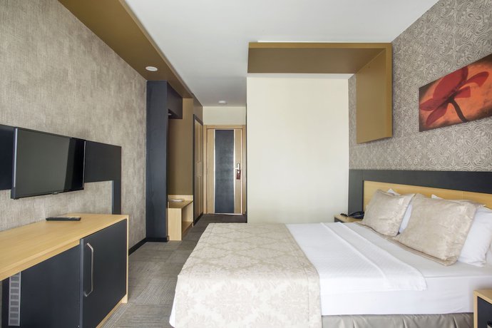 Imagen de la habitación del Hotel Berksoy. Foto 7