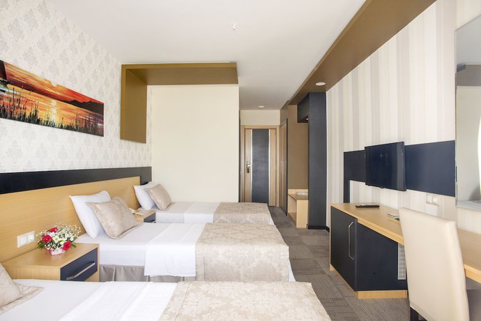 Imagen de la habitación del Hotel Berksoy. Foto 11