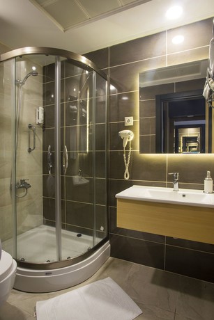 Imagen de la habitación del Hotel Berksoy. Foto 13