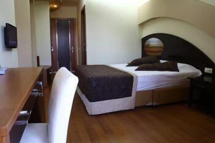 Imagen de la habitación del Hotel Berksoy. Foto 15