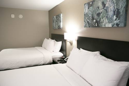 Imagen de la habitación del Hotel Berlin Encore and Suites. Foto 4