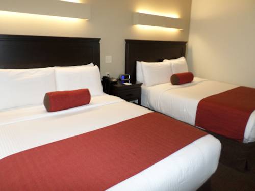 Imagen de la habitación del Hotel Berlin Grande. Foto 4