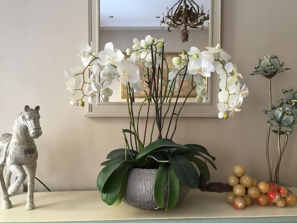 Imagen de los interiores del Hotel Berlioz, Niza. Foto 15