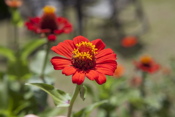 Imagen de los exteriores del Hotel Berlor Airport Inn. Foto 14