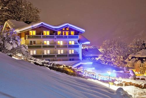 Imagen general del Hotel Berner Zell Am See. Foto 6