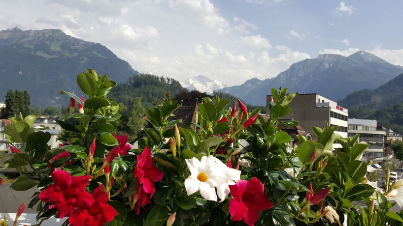 Imagen general del Hotel Bernerhof. Foto 2