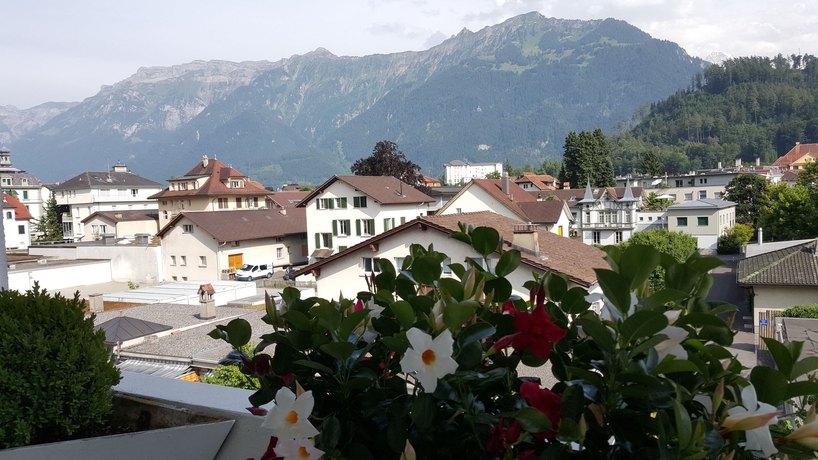 Imagen general del Hotel Bernerhof. Foto 3