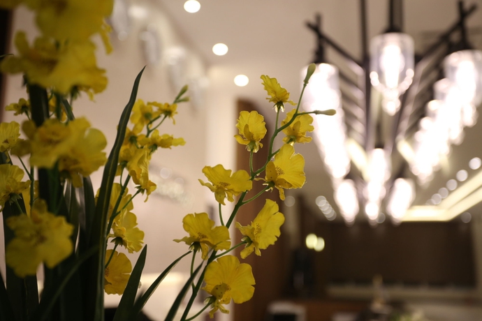 Imagen de los interiores del Hotel Bernoui Seoul. Foto 15