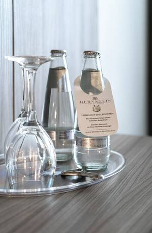 Imagen general del Hotel Bernstein Salzland Center. Foto 13