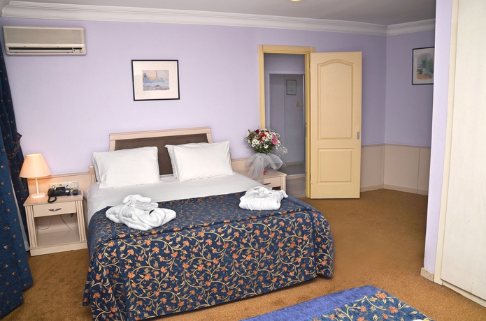 Imagen de la habitación del Hotel Berr, Estambul. Foto 9