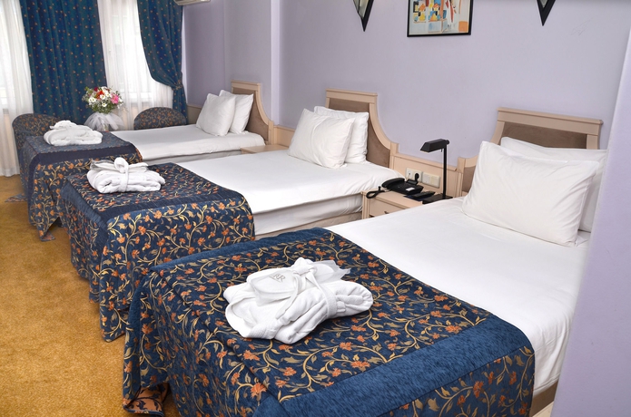 Imagen de la habitación del Hotel Berr, Estambul. Foto 10