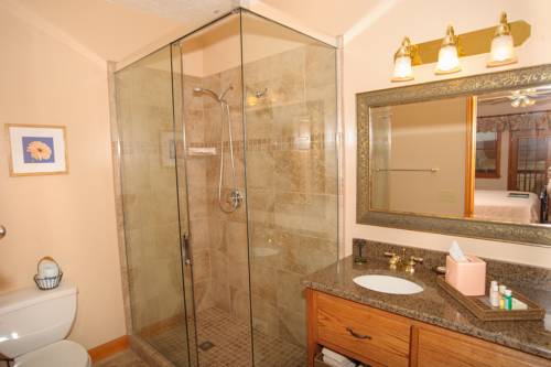 Imagen de la habitación del Hotel Berry Springs Lodge. Foto 6