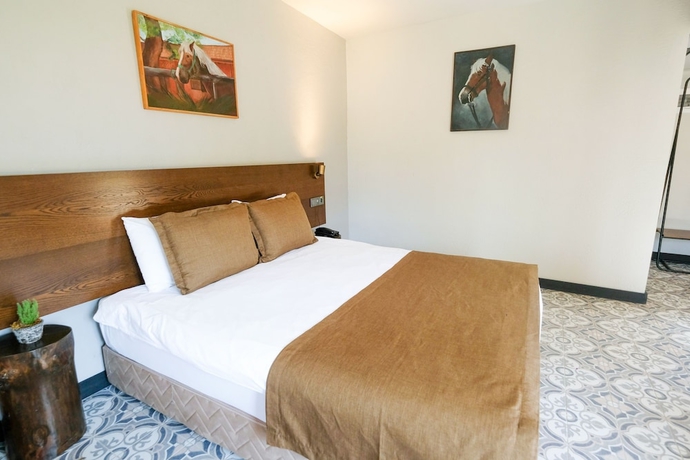 Imagen de la habitación del Hotel Beso Berke Ranch&Nature. Foto 5